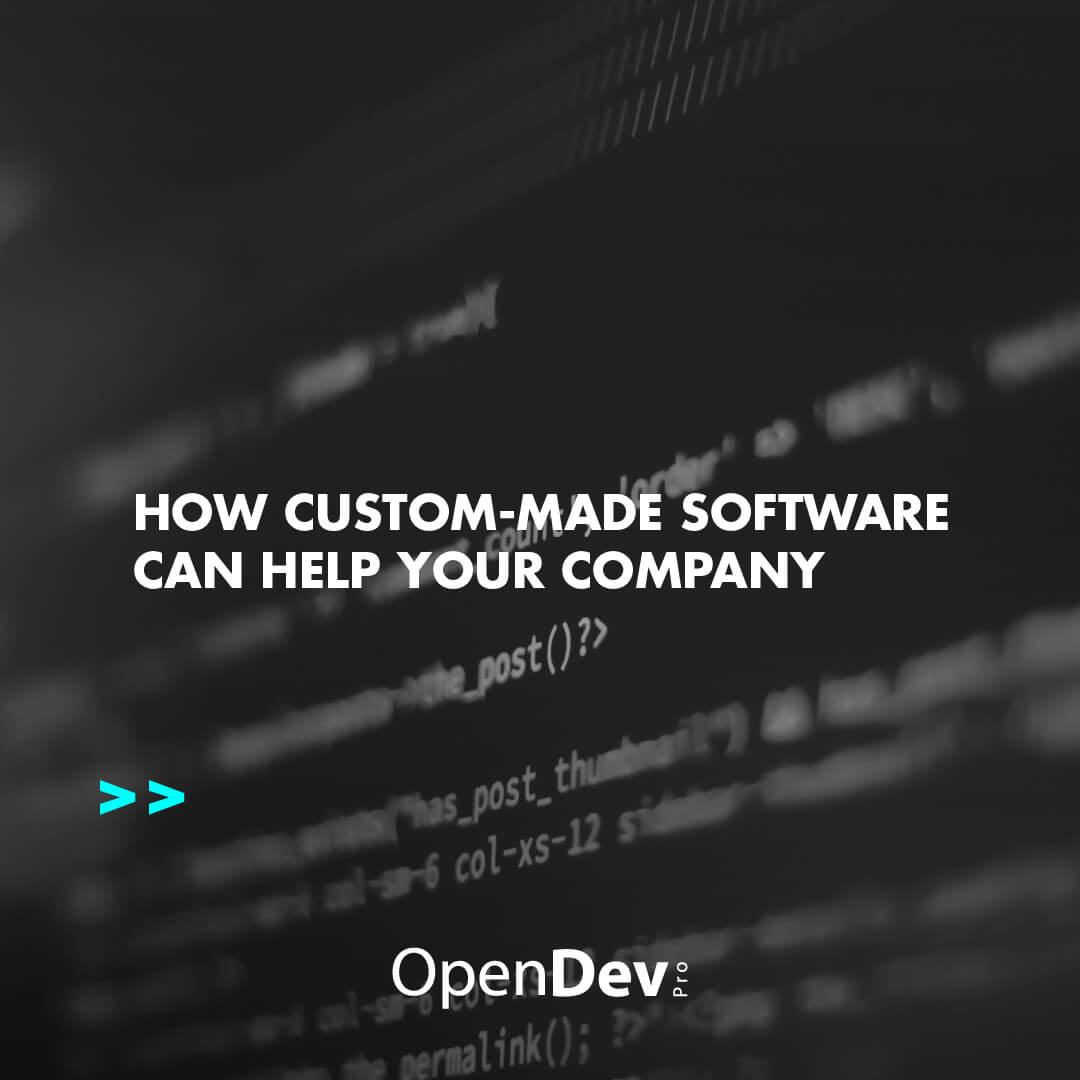 How custom-made software can help your company