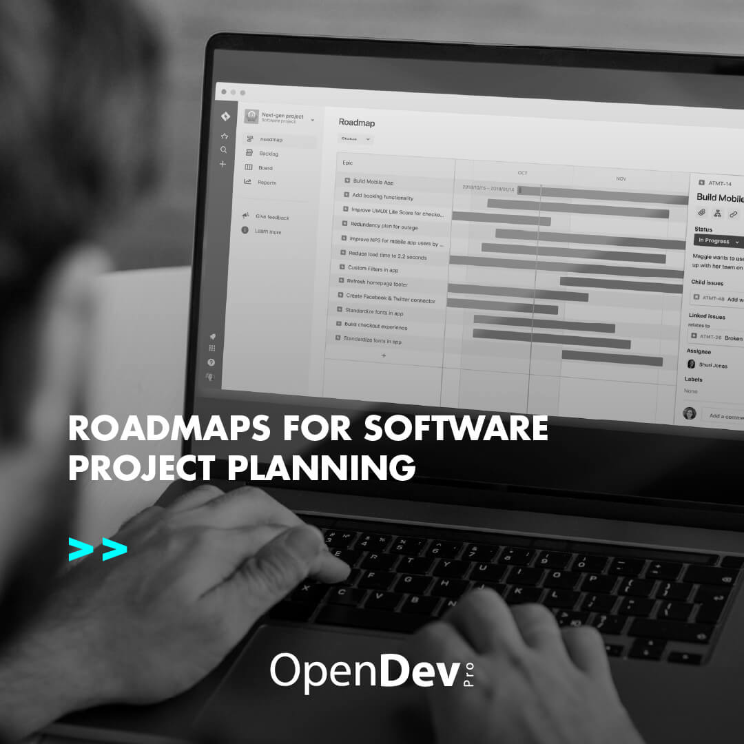 Roadmaps for software project planning